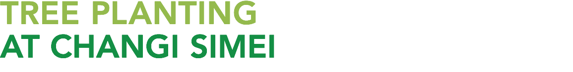 Tree Planting At Changi Simei