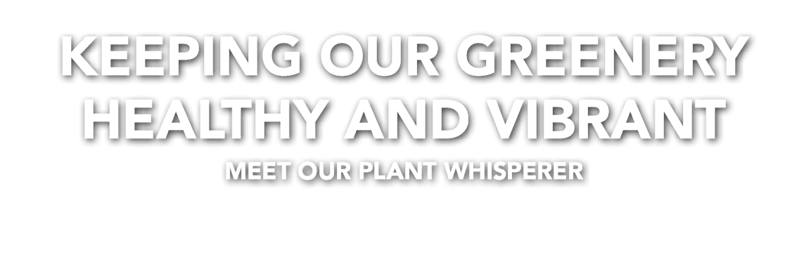 Keeping Our Greenery Healthy and Vibrant Meet our plant whisperer