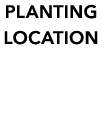 PLANTING LOCATION