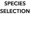 SPECIES SELECTION