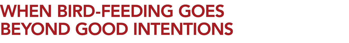 WHEN BIRD FEEDING GOES BEYOND GOOD INTENTIONS