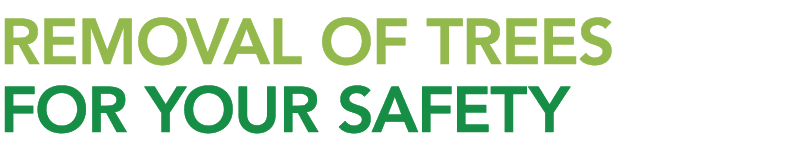 Removal of trees for your safety