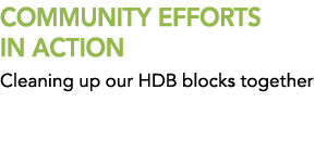 COMMUNITY EFFORTS IN ACTION Cleaning up our HDB blocks together